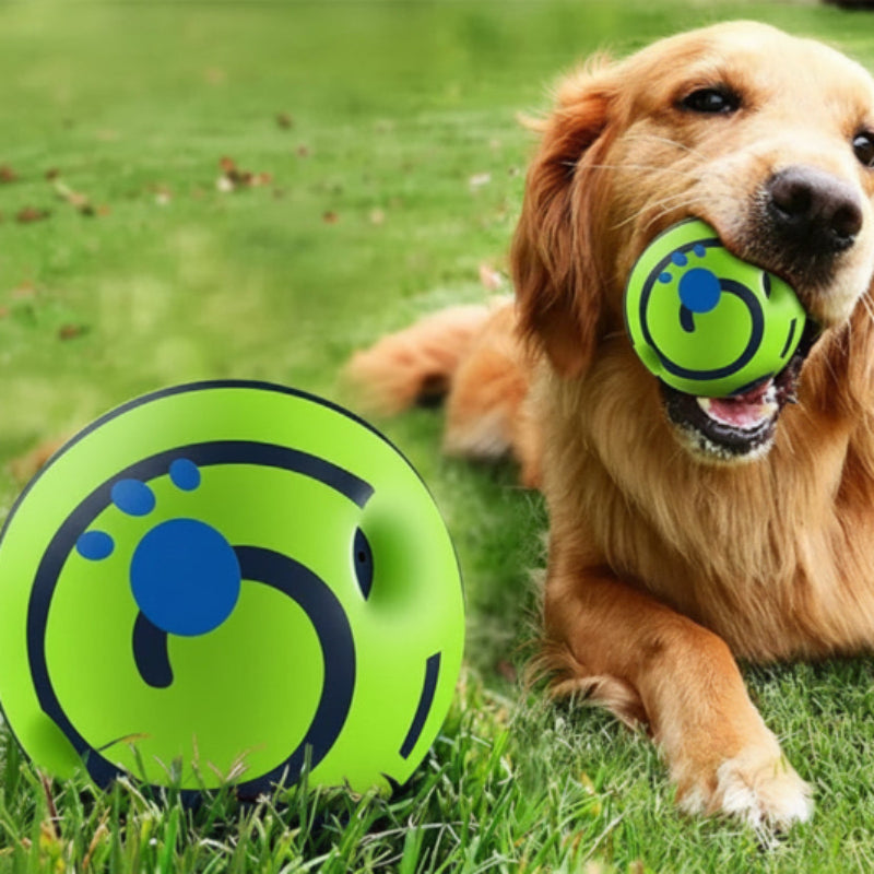 Giggling Glow Ball for Dogs