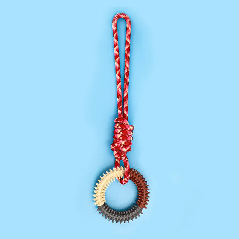 Interactive Pet Toy Ring