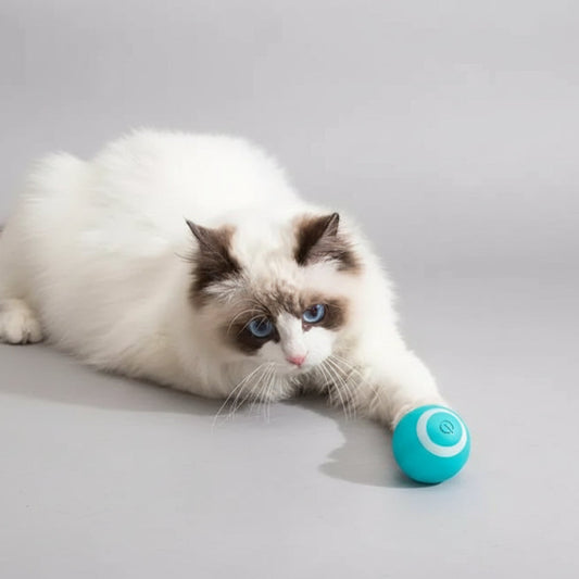 Magic Cat Ball Toy